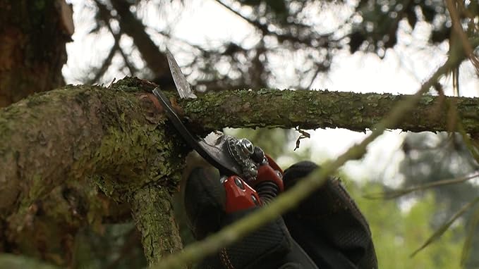 Bahco Pruning PXR-S1 PXR Pruner Small Handles 7" Long with 1/2" Capacity Small Blade