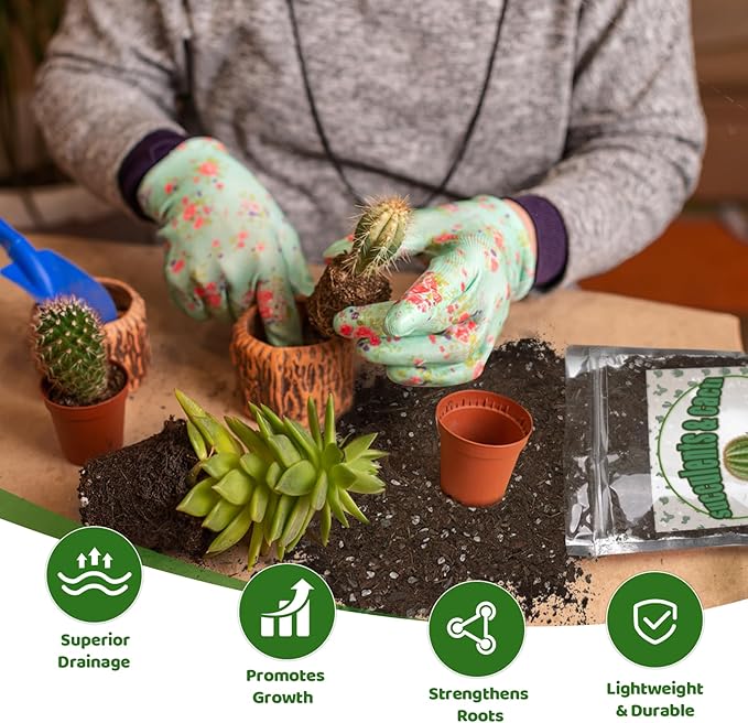 Cactus & Succulent Soil Mix 1qt, Chunky Well-Draining Soil for Indoor Plants - Spike & Bloom