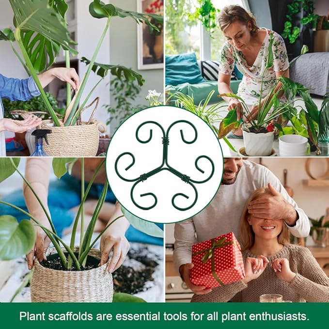 5 Pack Plant Stem Support Set, Reusable Iron Plant Stakes for Indoor Plants, Plant-Support-Stakes for Thriving Growth(Color:Green)