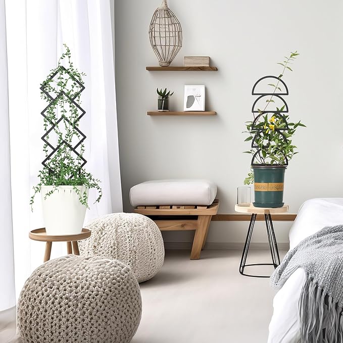 4 Pcs Trellises for Climbing Plants Indoor Metal Climbing Plant Support Metal Plant Trellis for Pots Garden Trellis for Climbing Plants for Plant Lovers (Style 2)