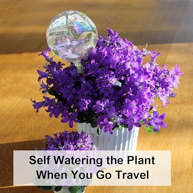 MOONSOUND 6pcs Glass Plant Watering Devices, Planter Self Watering Globes for Home Potting, Garden Flower Plant Watering Spikes Automatic Plant Water Bulbs Set for Indoor Outdoor Plant Daily Watering