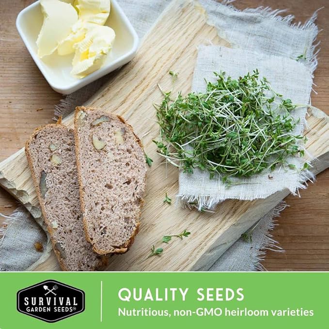 Broccoli Microgreen Seeds for Planting - Non-GMO Heirloom Broccoli Seeds to Grow Microgreens - Indoors or Hydroponic - Fast Sprouting, Nutrient Dense - Survival Garden Seeds (1 Pack)