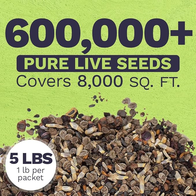 Bulk Wildflower Seeds Partial Shade Mix - 5 Pounds - Over 600,000 Open Pollinated Annual and Perennial Seeds