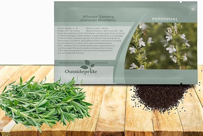 Outsidepride Winter Savory Seeds - 1000 Pcs Perennial Culinary Herb Seeds for Planting with Aromatic Leaves, Drought Tolerant & Compact for Container, Raised Bed, & Kitchen Herb Garden