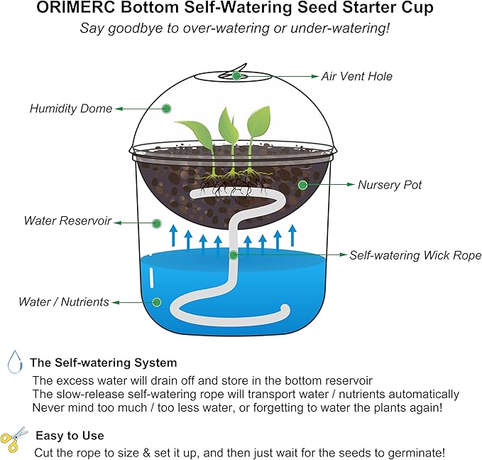 ORIMERC 30 Set Nursery Pots with Humidity Dome, Clear Nursery Pots with Drainage, Self Watering Small Plant Pots, Seedling Pots for Plants, Seed Starter Pots for Planting Vegetables Fruit Flower