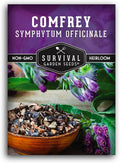 Comfrey Seeds for Planting - Symphytum Officinale Medicinal Perennial Herb for Compost Tea & Natural Skincare - True Slippery Root Non-GMO Heirloom - Survival Garden Seeds (1 Pack)