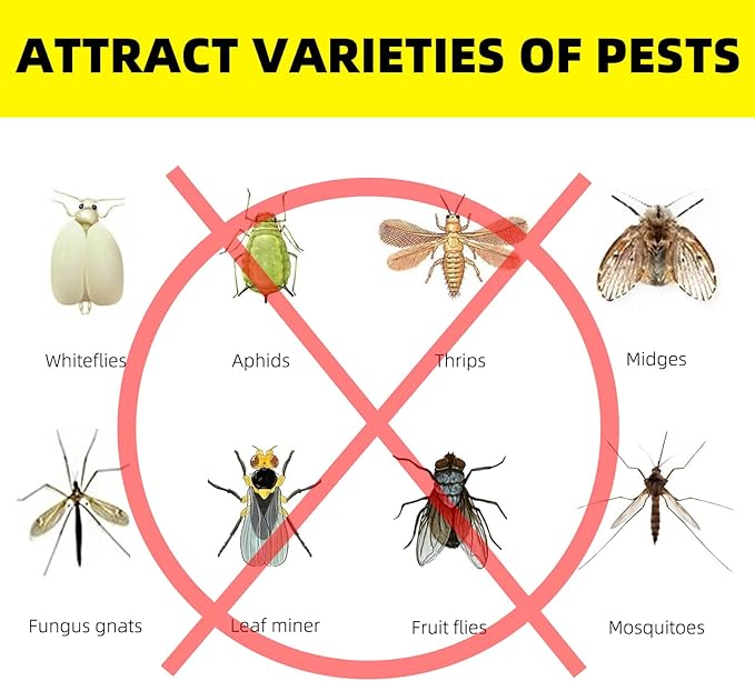 36PCS Fruit Fly Sticky Traps Fungus Gnat Traps Insect Trap for Plants Kitchen Indoor Outdoor White Flies Mosquitos Fungus Gnats Flying Insects Houseplant Gifts (Rocker Shape)