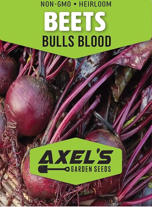 Bulls Blood Beet Seeds for Planting – Heirloom Non GMO Beet Seed Packets with Instructions to Plant & Grow Beets in Home Outdoor Vegetable Garden, Great Gardening Gift – 3 Packets