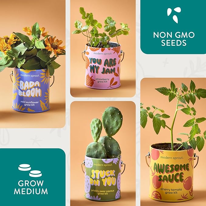 Modern Sprout Complimentary Color Grow Kits (Pack of 4) - Seed Starter Kit - Includes Organic Strawberry Tomato Sunflower & Cactus Seeds - Easter Basket Essentials - Gardening Gifts That Grows w/Love