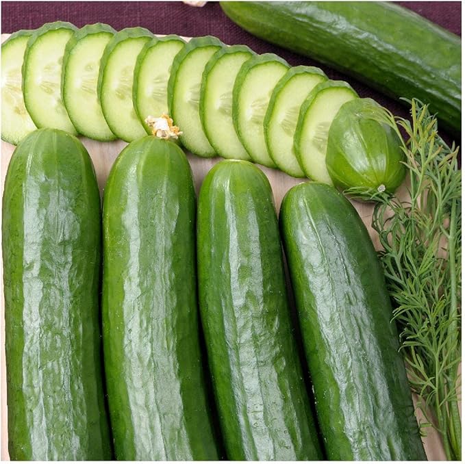 Everwilde Farms - 50 Organic Straight Eight Slicing Cucumber Seeds - Gold Vault Packet
