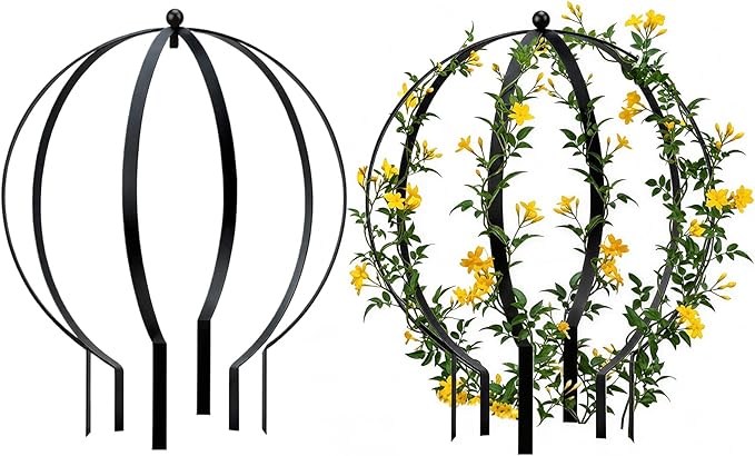 2 PCS Metal Garden Round Trellis for Climbing Plants, Large Black Powder Coated Obelisk for Roses, Vines, Flowers, Patio Doorway Garden Decor Indoor Outdoor, Easy Assembly (25.2" x 21.3")