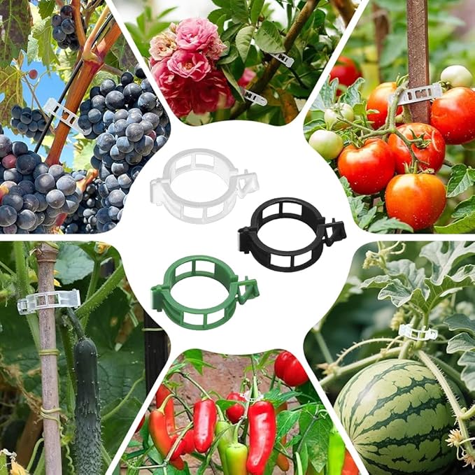 Plant Support Clips, Reusable Plastic Plant Clips for Securing Plants, Garden Clips for Climbing Plants, Plant Fixing Clips for Tomato, Grape and Vine Vegetables (300, Green)