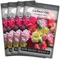 Sow Right Seeds - Chabaud Mix Carnation Seeds for Planting - Non-GMO Heirloom Dianthus Variety Ideal for Outdoor Gardens - Grow Large Carnation Plants - Easy to Sow and Bloom Beautiful Flowers (4)