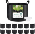 GreatBuddy 10 Gallon Grow Bags 12-Pack, Thick Fabric Pots for Plants, Sturdy Handles & Reinforced Stitching, Labels Included, Black