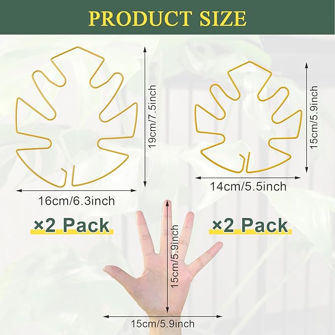 4 Pack Plant Stem Support, Adjustable Metal Monstera Plant Support Small 2PCS & Large 2PCS, Plant Supports for Indoor Plants Moss Pole Growth Plant Support Ring (Gold)