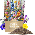 Bulk Wildflower Seeds Partial Shade Mix - 1 Pound Bag Over 120,000 Open Pollinated Annual and Perennial Seeds