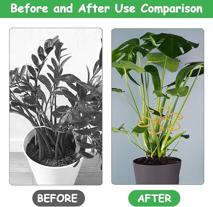 5 Pcs Plant Stem Support, Iron Monstera Plant Support, Durable Hook Stem Supports for Healthy Growth, Bamboo Clamp Set for Leaf Stabilization and Support, Ideal Present for Plant Lovers (6.5IN*6.5IN)