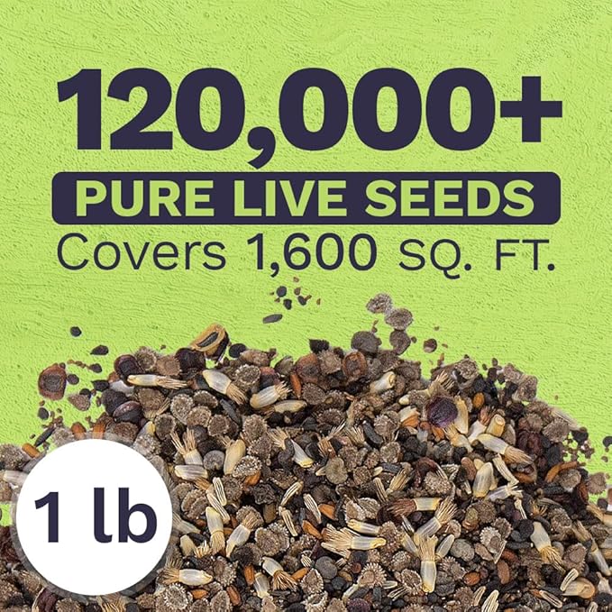 Bulk Wildflower Seeds Partial Shade Mix - 1 Pound Bag Over 120,000 Open Pollinated Annual and Perennial Seeds