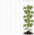 Hicarer 16 Pack Square Tomato Cage Heavy Duty Tomato Cages for Garden Vegetable Plant Trellis Stakes Plant Support Stake Tower for Climbing Vegetables Plants Flowers Fruit (11.5 x 56 Inches,Silver)