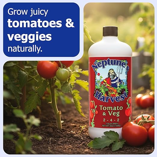 Neptune’s Harvest Organic Tomato & Vegetable Plant Fertilizer (2-4-2) - 36oz Bottle (Pack of 2) - Liquid Plant Food w/Fresh Fish, Seaweed, Molasses, Yucca Extract, & Humic Acids - for Vegetable Garden