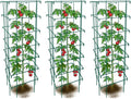 Happy Trees Large Heavy Duty Tomato Cages - Support for Climbing Vegetables and Plants - 18" x 18" x 58" - Thick Gauge Galvanized Steel, Collapsible Easy Storage, 3-Pack, Made in USA