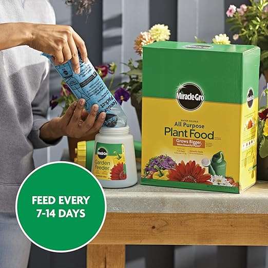 Miracle-Gro Water Soluble All Purpose Plant Food - Fertilizer For All Indoor or Outdoor Plants including Roses, Flowers, Vegetables, Houseplants, Trees, and Shrubs, 10 lbs.