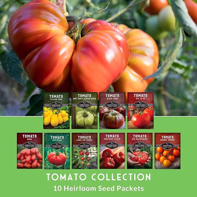 Tomato Seeds 10 Variety Pack for Planting - Black Krim, Roma, Cherry, Aunt Ruby's Green, Orange Cherry, Mortgage Lifter, Brandywine, & More - Non-GMO Heirloom Tomatoes - Survival Garden Seeds