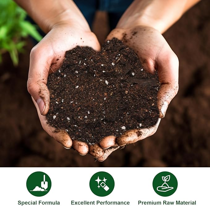 Doter All-Natural Potting Soil for Anthurium & Indoor Plants 2qt - Enhanced Drainage, No Additives | Premium Indoor Plant Soil Mix
