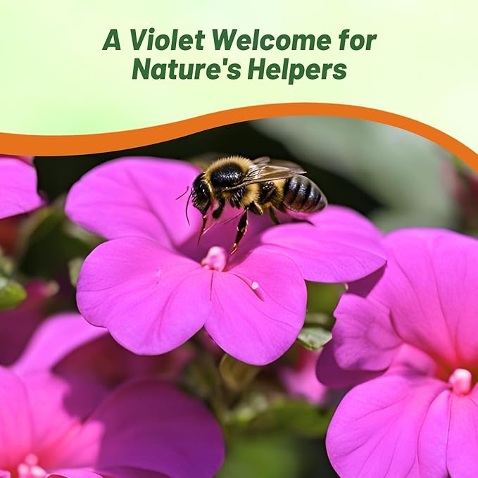 Outsidepride Premium Violet Impatiens Flower Seeds - 200 Pcs Annual, Compact & Pollinator Friendly, Impatiens Seeds for Planting w/Vibrant, Abundant Blooms for Shade Gardens & Container Displays