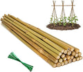 Plant Stakes Natural Bamboo Sticks - 25 Pcs Bamboo Garden Stakes for Plants 4 FT Plant Support Sticks with Twist Ties for Tomatoes Grapes Beans Flowers Indoor Outdoor Potted Climbing Plants