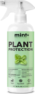 Mint+ Plant Protection Spray, Insect & Pest Control for Indoor & Outdoor Plants, 16 oz (475mL)