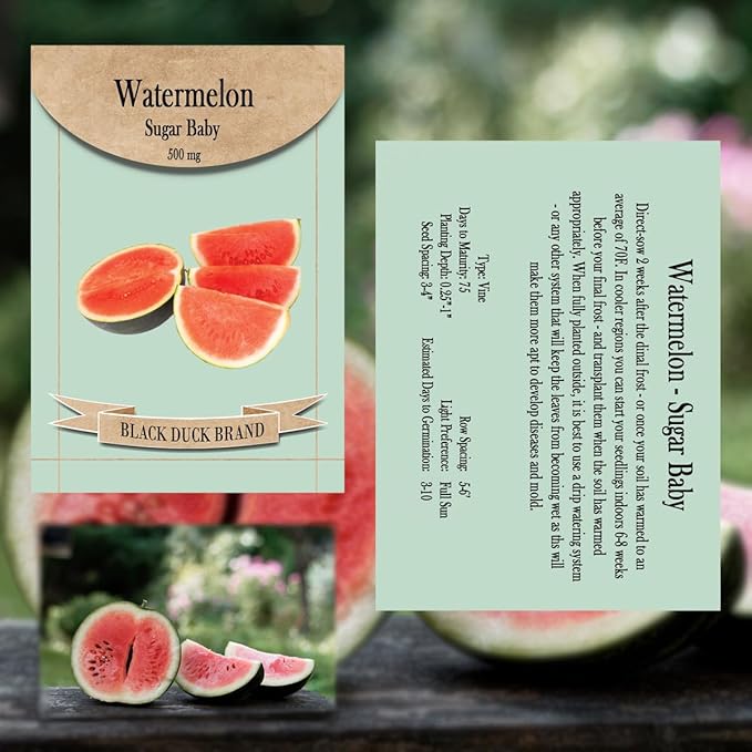 30 Assorted Packages of Vegetable Seeds, 15+ Varieties, All Seeds are Heirloom, 100% Non-GE