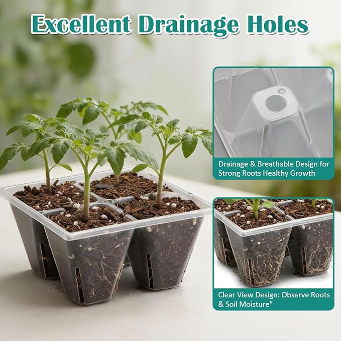 80 Pack Reusable 4-Cell Clear Seed Starter Trays - Extra Large Drainage Holes, Easy Transplant, Clear Transparent Tray for Root Observation, Seed Starting, Fits Standard 1020 Flats