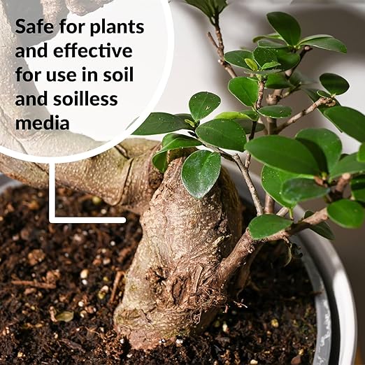 SUPERthrive Bonsai-Pro Liquid Plant Food (32 Oz)