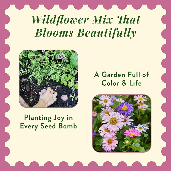 Modern Sprout Wildflower Seed Ball Poop - Easter Basket Essentials - Non-GMO Hand-Rolled Clay Seed Bombs with Wildflower Seeds - Gardening Gift Set for Kids & Adults - (Magical Plop - Pack of 3)