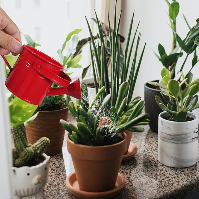 DOITOOL 2 Pack Kids Metal Watering Can for Gardening, Small Iron Watering Can Set for Indoor Outdoor Plants, Mini Toddler Water Pot for Succulents Houseplants Bonsai (Blue, Red)