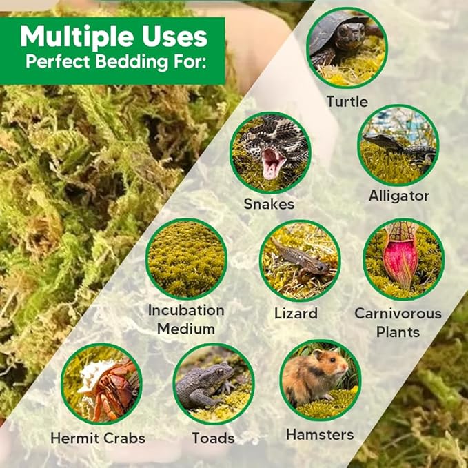 Natural Long Fiber Sphagnum Moss 82QT for Orchid Potting Mix,and Moss Pole for Plants Indoor.Ideal for Propagating Plants,Maintaining Humidity for Reptiles, Isopods in Paludarium, Aquascape (1.5 lb)