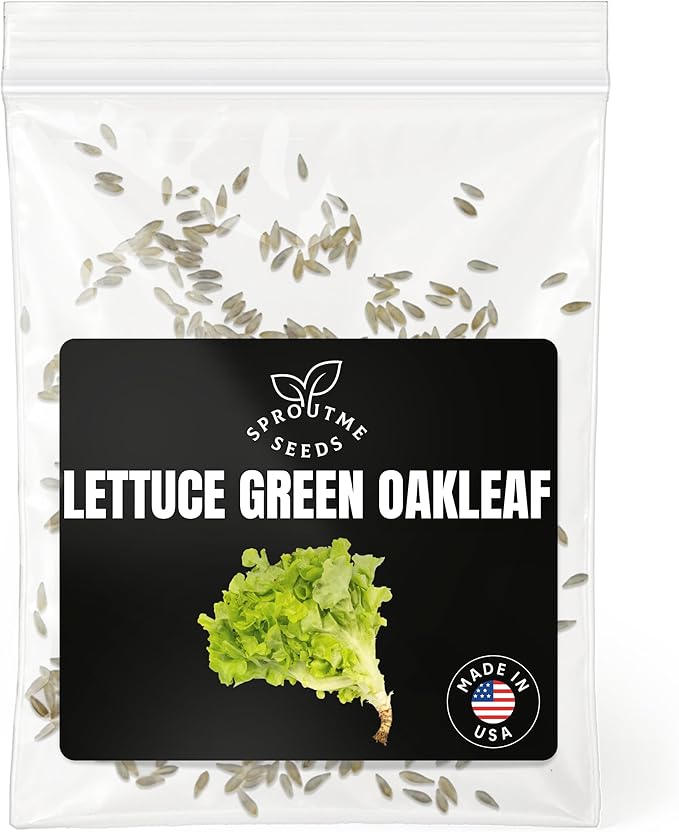 Green Oakleaf Lettuce Seeds for Planting – 500+ Non-GMO Heirloom Leaf Lettuce, Tender Oak Leaf Salad Greens for Spring & Fall Growing, High Germination (Lactuca Sativa)