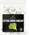 Green Oakleaf Lettuce Seeds for Planting – 500+ Non-GMO Heirloom Leaf Lettuce, Tender Oak Leaf Salad Greens for Spring & Fall Growing, High Germination (Lactuca Sativa)