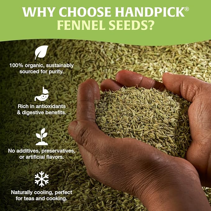 Fennel Seeds (397g/14oz) Tested for Quality | Raw Fennel Seed | Perfect for Cooking, Teas, Smoothies & Lattes | Bulk Whole Seeds in Resealable Zip Lock Pouch