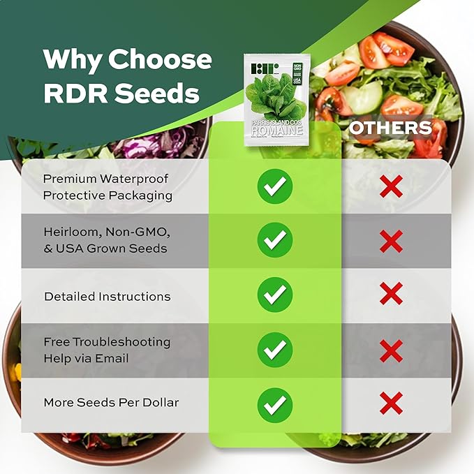 3000 Parris Island Cos Romaine Lettuce Seeds - 4+ Grams - Heirloom Non-GMO USA Grown Premium Vegetable Seeds for Planting - by RDR Seeds