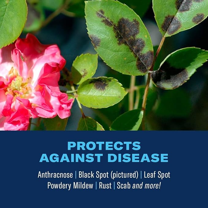 BioAdvanced 3-In-1 Insect, Disease and Mite Control, Fungicide, Ready-to-Use, 24 oz