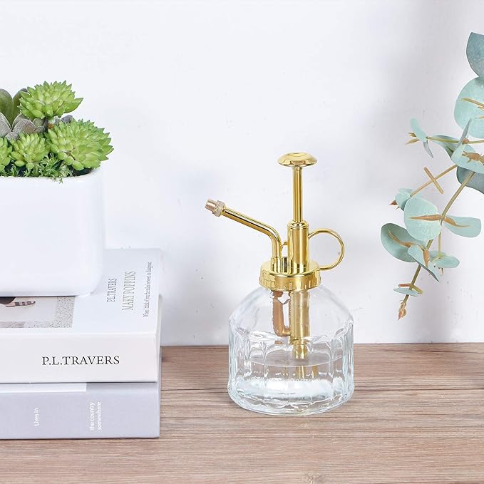 Glass Plant Mister Spray Bottle, Succulent Watering Bottle with Golden Top Pump, Vintage Plant Spritzer, Decorative Water Sprayer Small Watering Can for Indoor Outdoor Houseplant - Clear