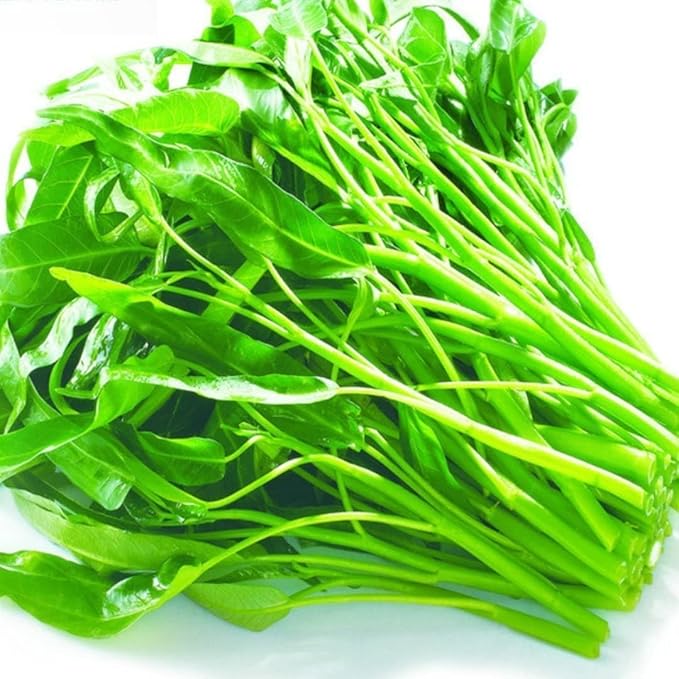 1000+ Kangkong Seeds - Hat Rau Muong La TRE - Kong Xin CAI - Ong Choy Seeds for Planting Vegetable for Yard & Garden Made in USA | Non-GMO | Organic | 95% Germination Rate