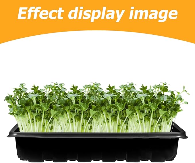 Breathable Seedling Tray with Lid and Large Black Planter Tray for Seed Starting and Sprouting Greenhouse Accessory for Indoor Gardening
