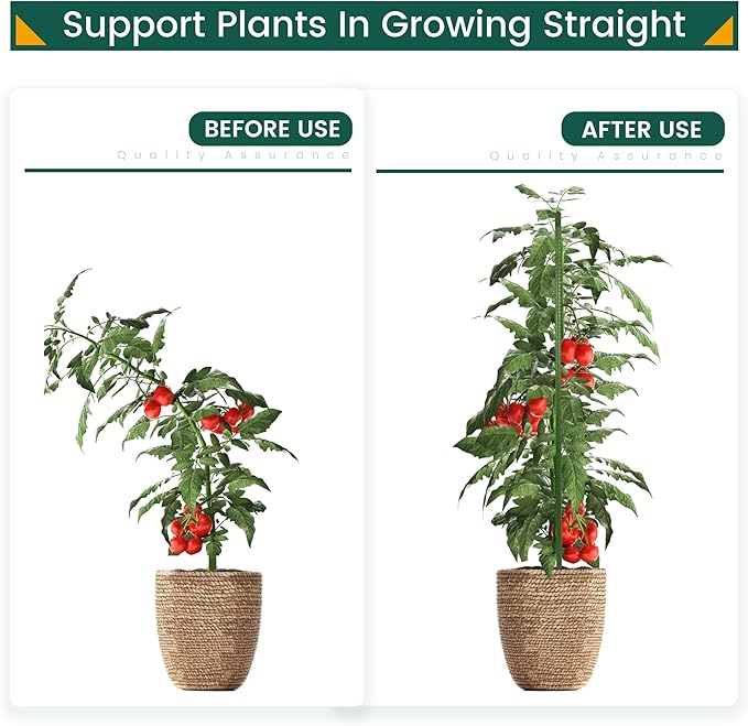 PROWORX 24 Inch 2 Ft Plant Support Garden Stakes 25 PCS, Sturdy Steel Plastic Coated Sticks for Outdoor Growing Climbing, Tomato, Trees, Cucumber, Beans