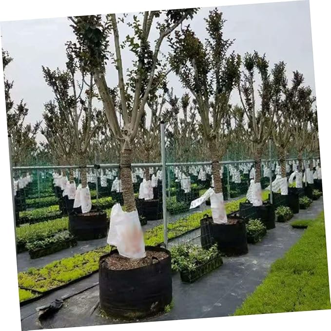 3pcs 1 Gallon Non-Woven Plant Growing Bags with Handles for Vegetables and Flowers, Breathable Potato and Tomato Planting Pouch Garden Planters for Outdoor Use