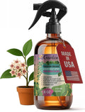 GARDENERA Professional Organic Liquid Kelp Spray for Hoya Plants - 8 oz - Ready-to-Use Fully Organic Seaweed & Kelp Fertilizer Mist