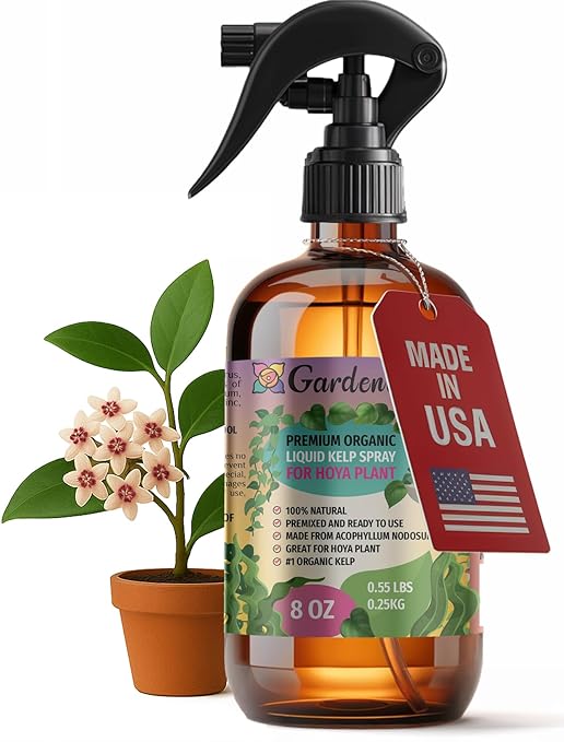 GARDENERA Professional Organic Liquid Kelp Spray for Hoya Plants - 8 oz - Ready-to-Use Fully Organic Seaweed & Kelp Fertilizer Mist
