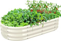 TBMLC Oval Galvanized Planter Box, Metal Raised Garden Bed - 0.8MM Thick- Ideal for Outdoor Gardening and Planting of Vegetables Flowers Fruits Succulent Plants and Others (White, 5X2.7X1 FT)